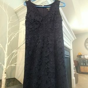 Adrianna Papell Navy Blue Lace A-Line Gown 6
